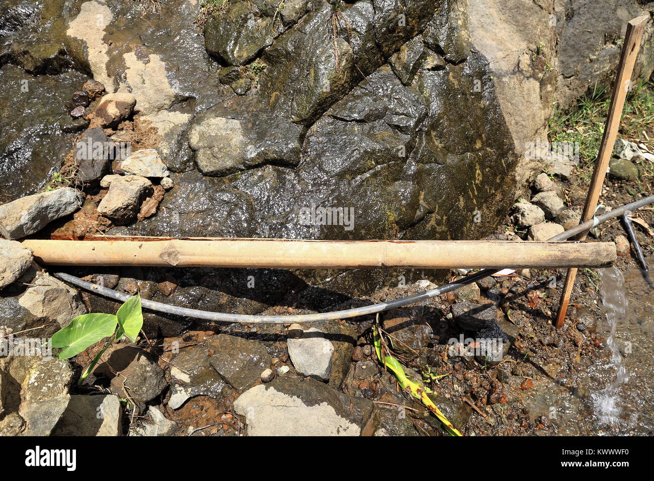 La conduzione di acqua per mezzo di un bastone di bambù e un nero flessibile in gomma cattura il flusso da una molla in montagna. Bocos barangay-Banaue municipalit Foto Stock