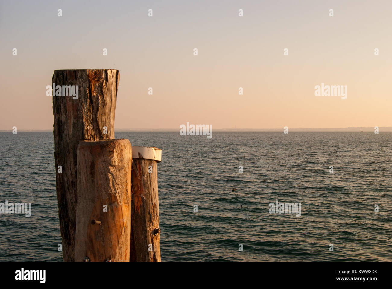Paesaggio sul lago Foto Stock