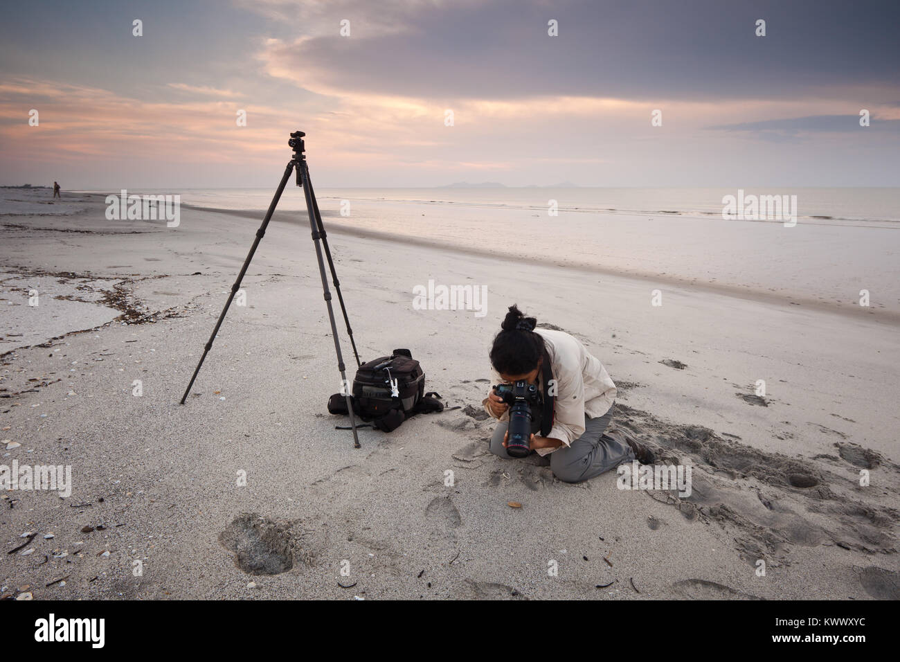 Fotografo Outdoor il lavoro con la fotografia macro sulla spiaggia di Punta Chame, Pacific Coast, provincia di Panama, Repubblica di Panama. Foto Stock
