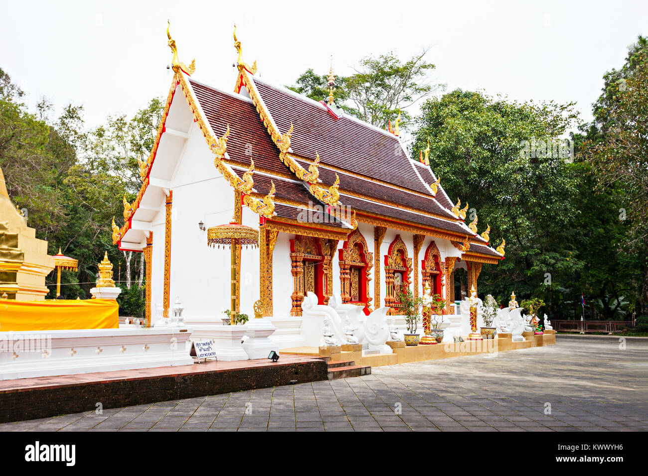 Phra That Doi Tung tempio, provincia di Chiang Rai, Thailandia Foto Stock