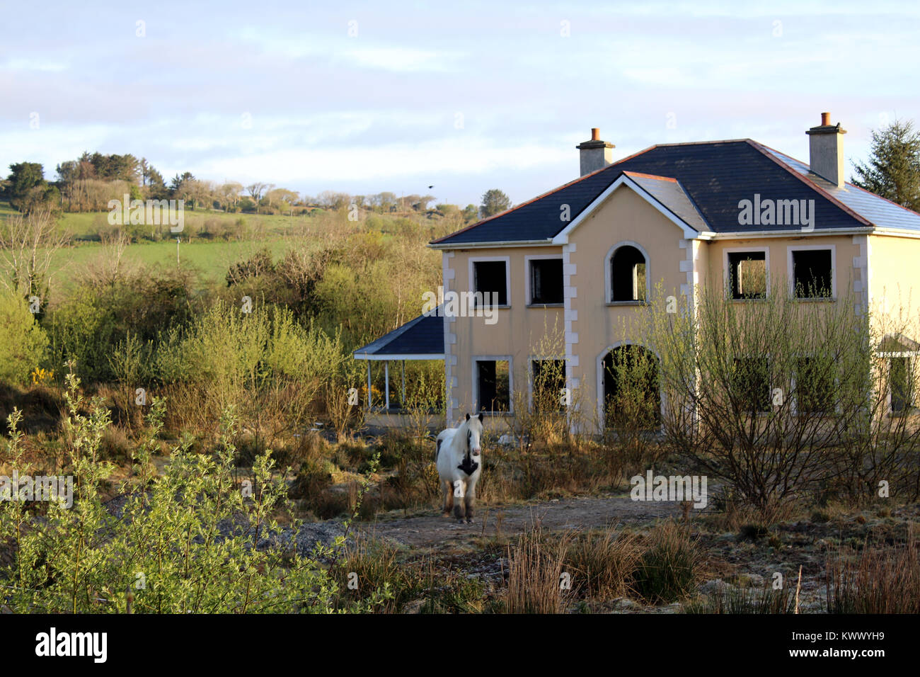 Cavallo fuori da un guscio vuoto di una nuova casa Foto Stock