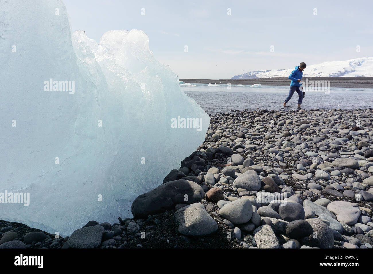 Un grande pezzo di ghiaccio sulla spiaggia Jokursarlon e un uomo a piedi nudi a piedi attraverso acqua fredda della laguna glaciale in Islanda. Foto Stock