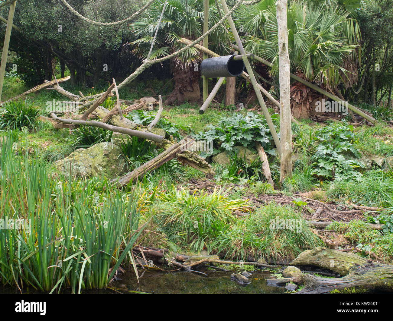 Monkey enclosure immagini e fotografie stock ad alta risoluzione Alamy