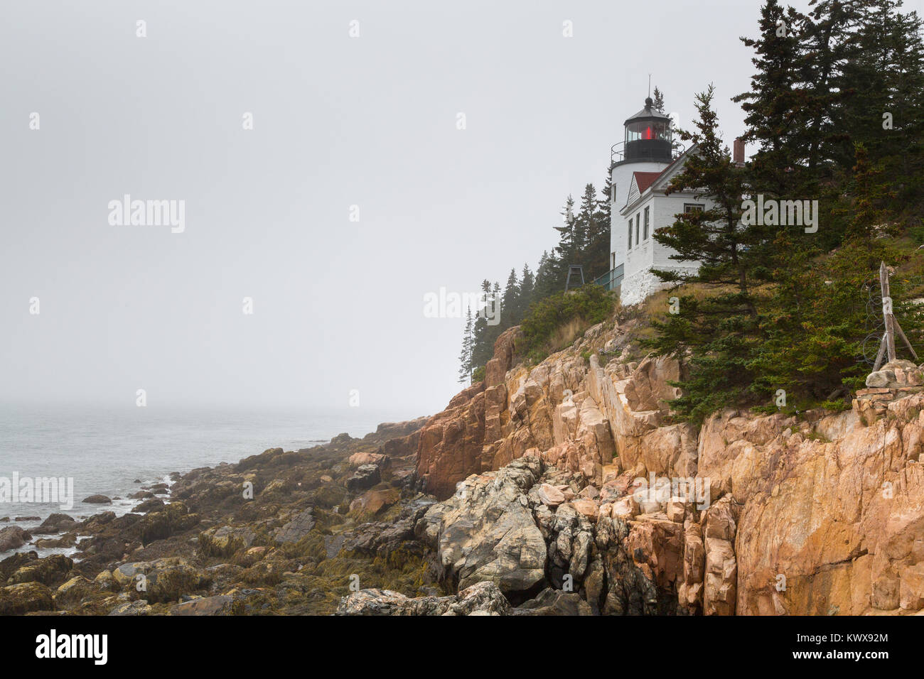 Il porto basso capo faro di luce che si affaccia sull'Oceano Atlantico dalla costa dell'isola di Mount Desert. Parco Nazionale di Acadia, Maine Foto Stock