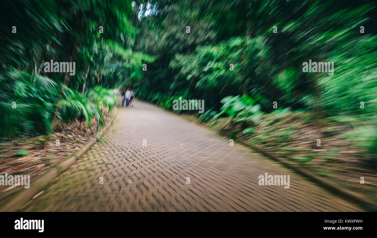 Intenzionalmente fuori del percorso di messa a fuoco nei boschi con le persone - mal di testa, nausea e malattia metafora Foto Stock
