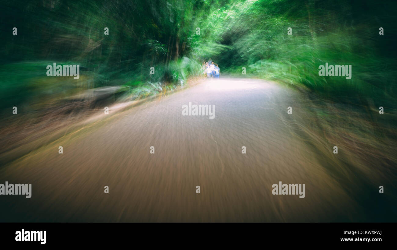 Intenzionalmente fuori del percorso di messa a fuoco nei boschi con le persone - mal di testa, nausea e malattia metafora Foto Stock