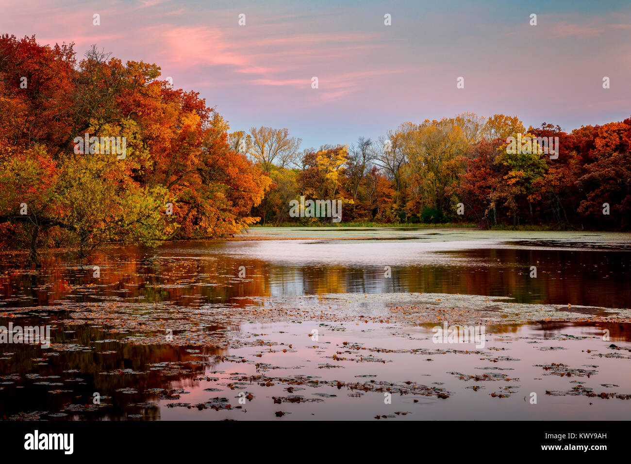 I colori dell'autunno all alba O'Dowd lago in Shakopee, Minnesota. Foto Stock