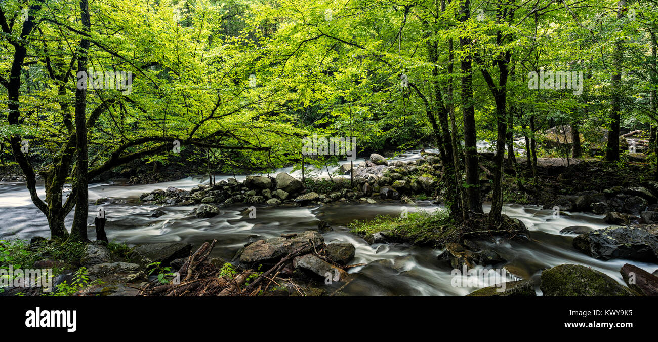 Polo Centrale piccolo fiume in Tremont area di Great Smoky Mountains. Foto Stock