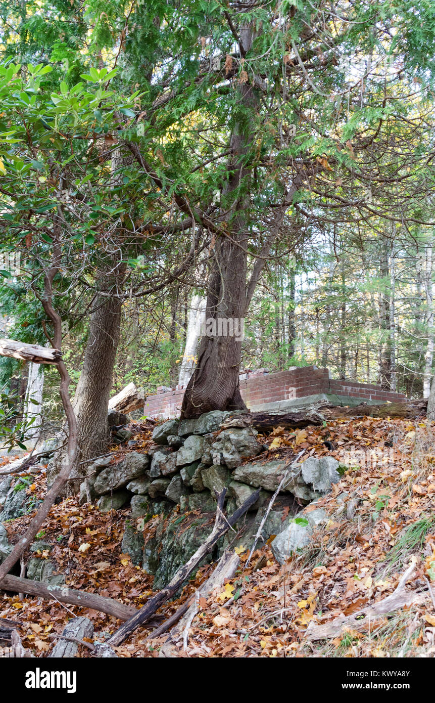 Le rovine della vecchia fattoria, George Décorétrès's wagon, nei boschi vicino al porto di bussola, Parco Nazionale di Acadia, Maine. Foto Stock