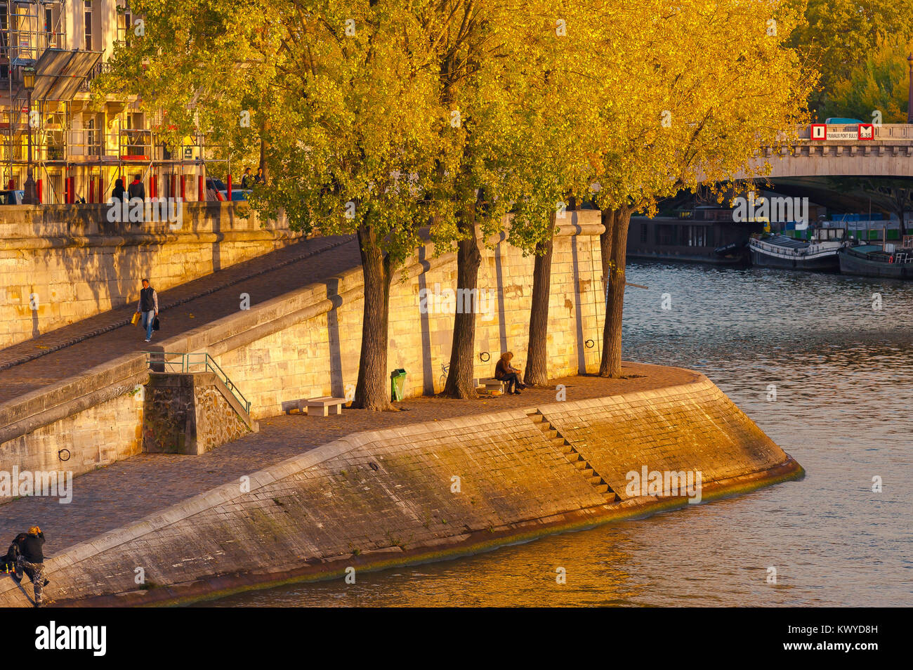 Parigi autunno Senna, in vista di un quai -un terrapieno- lungo il Fiume Senna nel centro di Parigi colorata da un autunno tramonto, Francia. Foto Stock