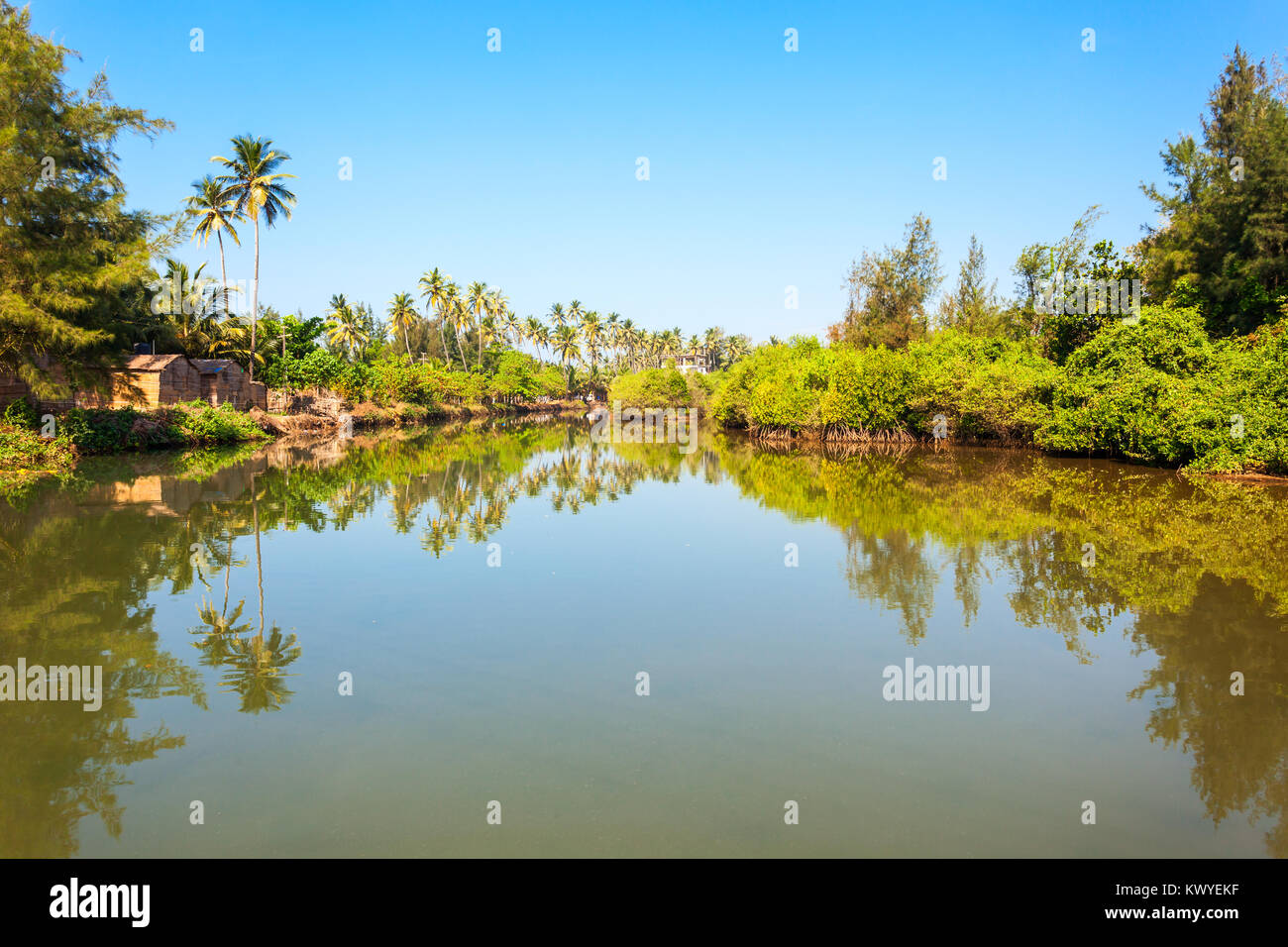 Piccolo fiume e palme sulla spiaggia Mandrem nel Nord Goa, India Foto Stock