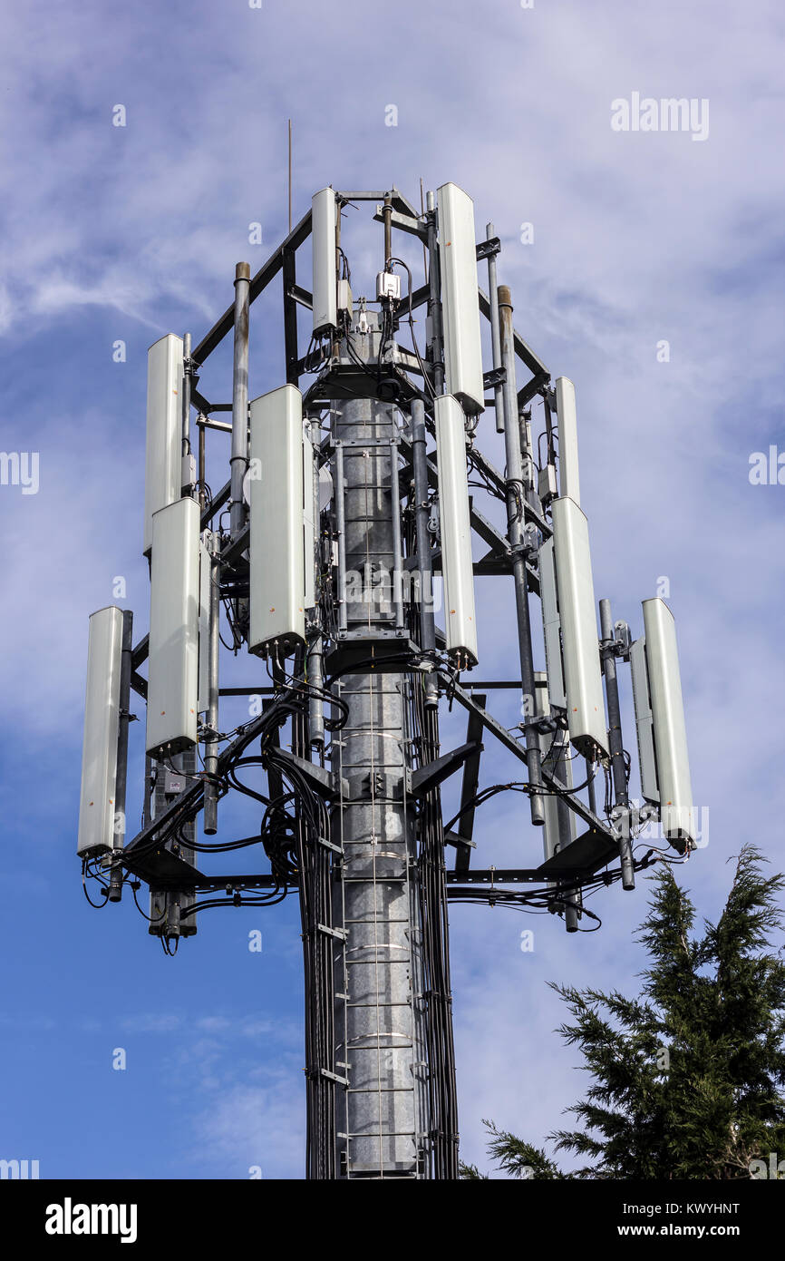 Telefono mobile di dati e comunicazione torre. Foto Stock