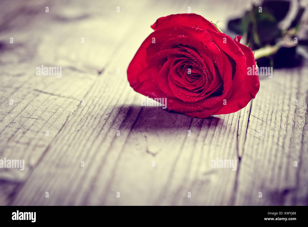 Valentino Rossi è salito sul legno il concetto di sfondo per amore, il giorno di San Valentino, il romanticismo, la ringrazio, celebrazione o anniversario Foto Stock