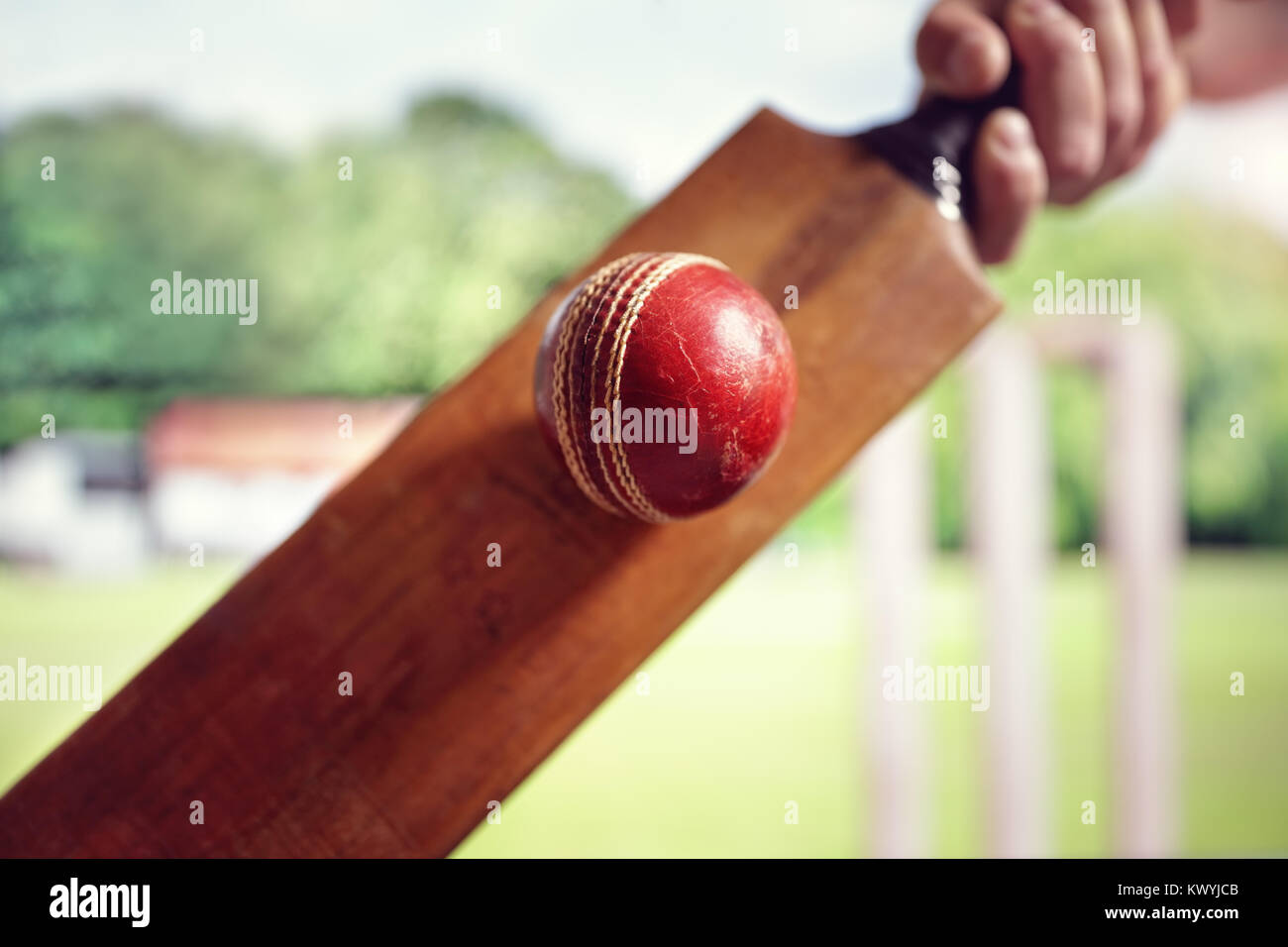 Cricket battitore di colpire una pallina colpo da sotto con monconi sul campo da cricket Foto Stock