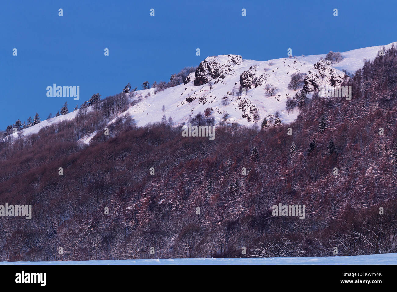Sul lato meridionale della collina Wrekin sumit roccioso coperto di neve in inverno. Foto Stock