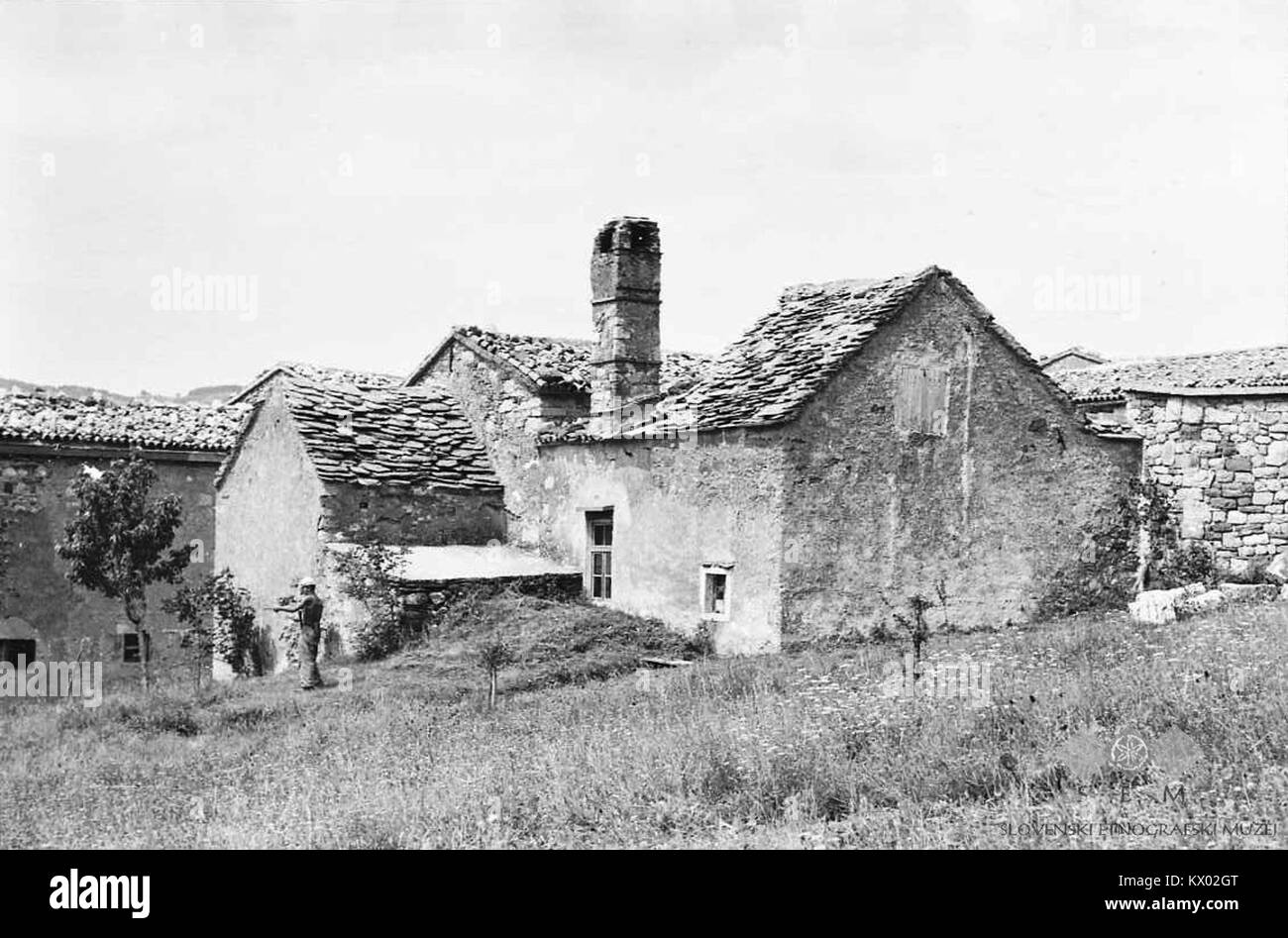 Fotografia della casa di Mihcova a Podgrič, Slovenia, che mostra parte dei vecchi tetti di tegole rosse nel 1958, che rappresentano l'architettura storica e il patrimonio regionale. Foto Stock