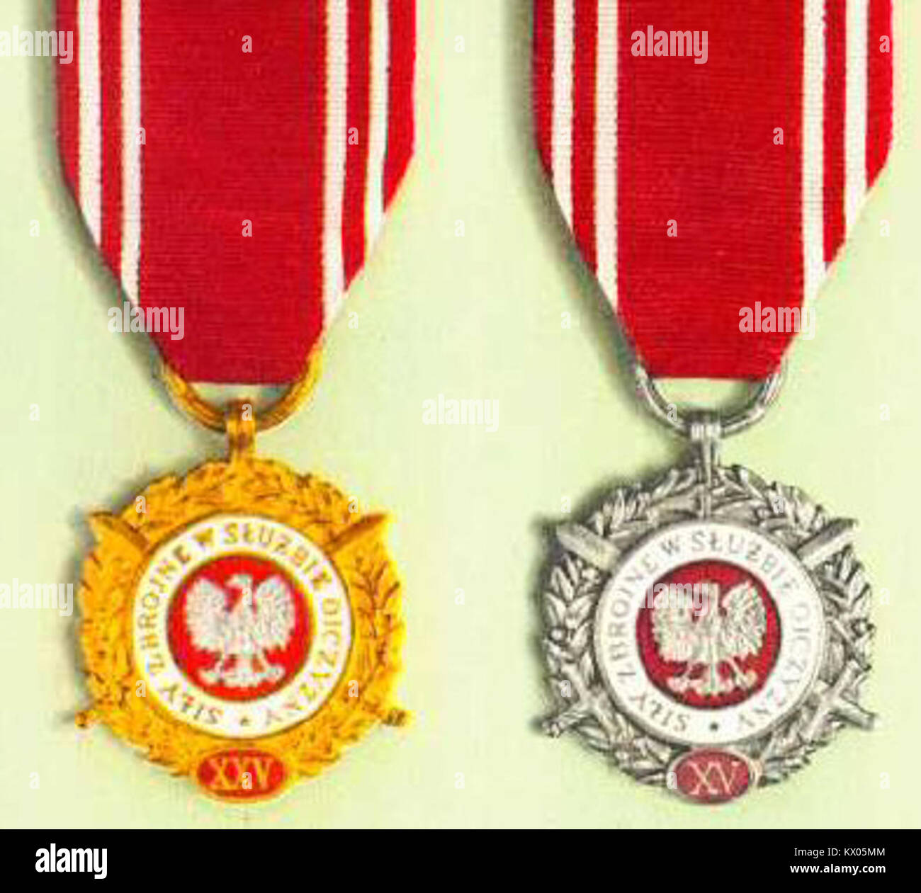 Medaglia militare polacca assegnata per il servizio nelle forze armate della Polonia dal 1960 al 1995, onorando i contributi alla difesa nazionale e al servizio militare. Foto Stock