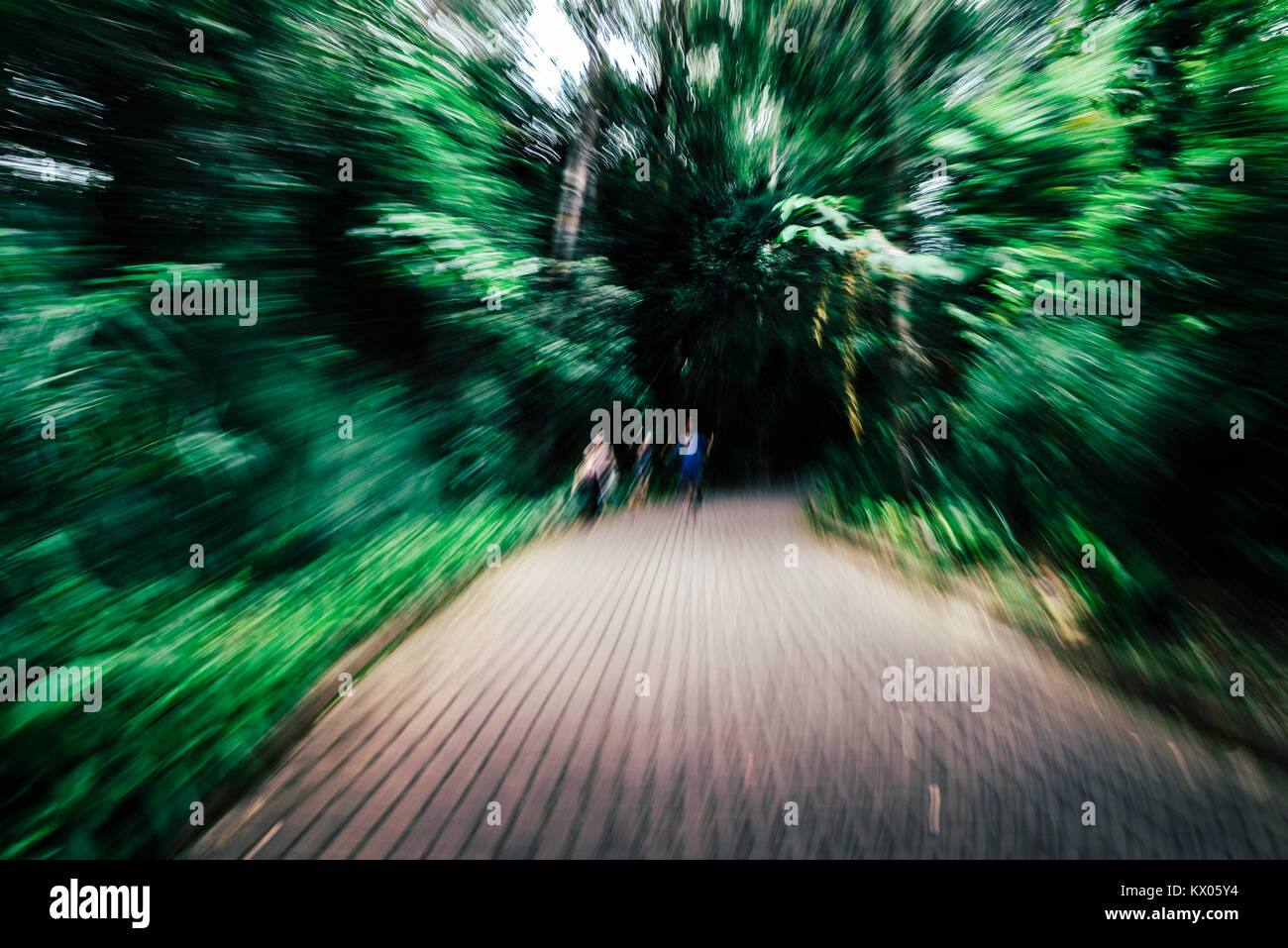 Intenzionalmente fuori del percorso di messa a fuoco nei boschi con le persone - mal di testa, nausea e malattia metafora Foto Stock