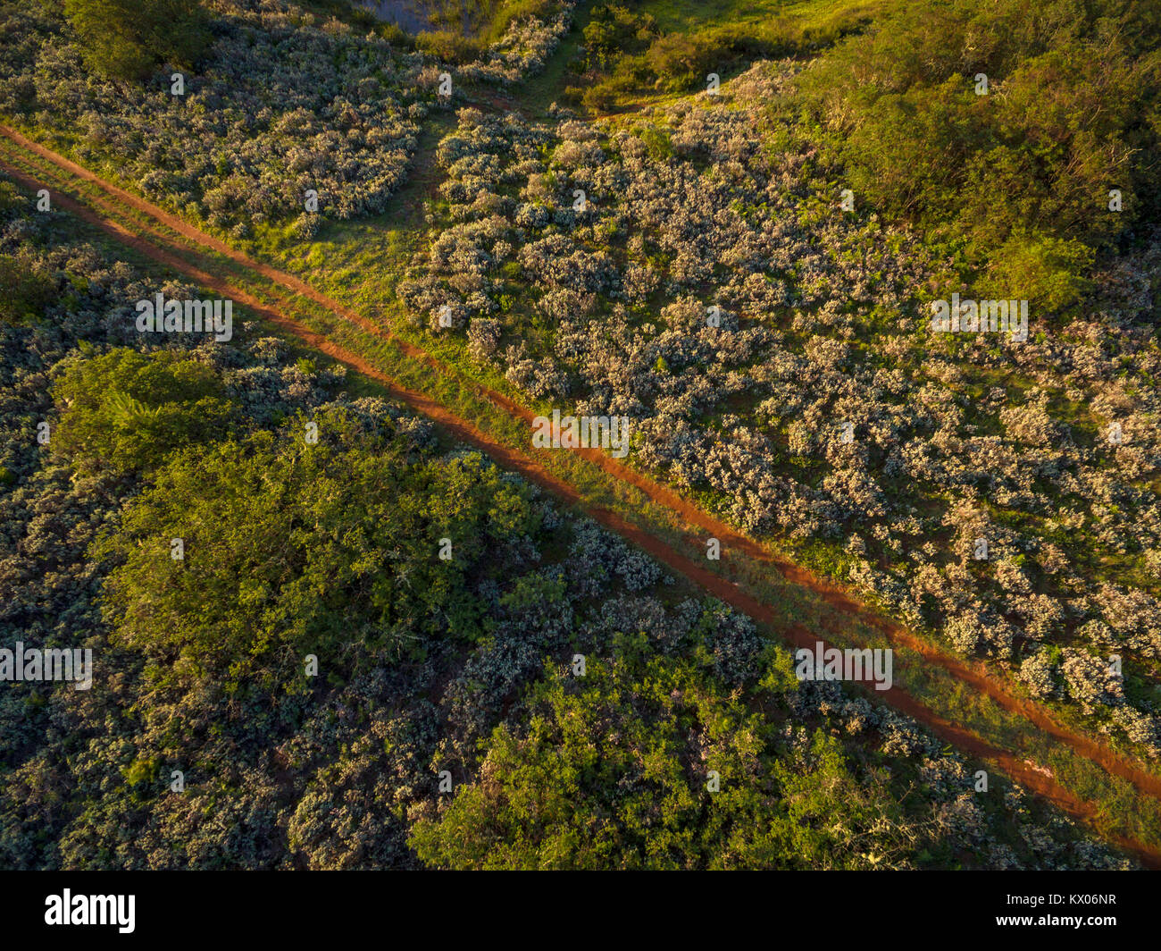 Una vista astratta aerea di una strada a Nyanga. Foto Stock