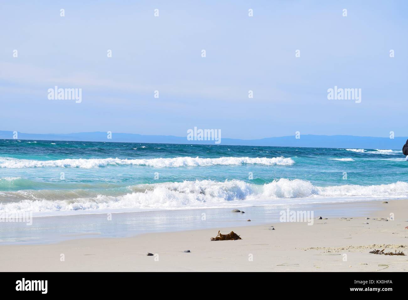 Paesaggi urbani la San Francisco Monterey e natura Foto Stock