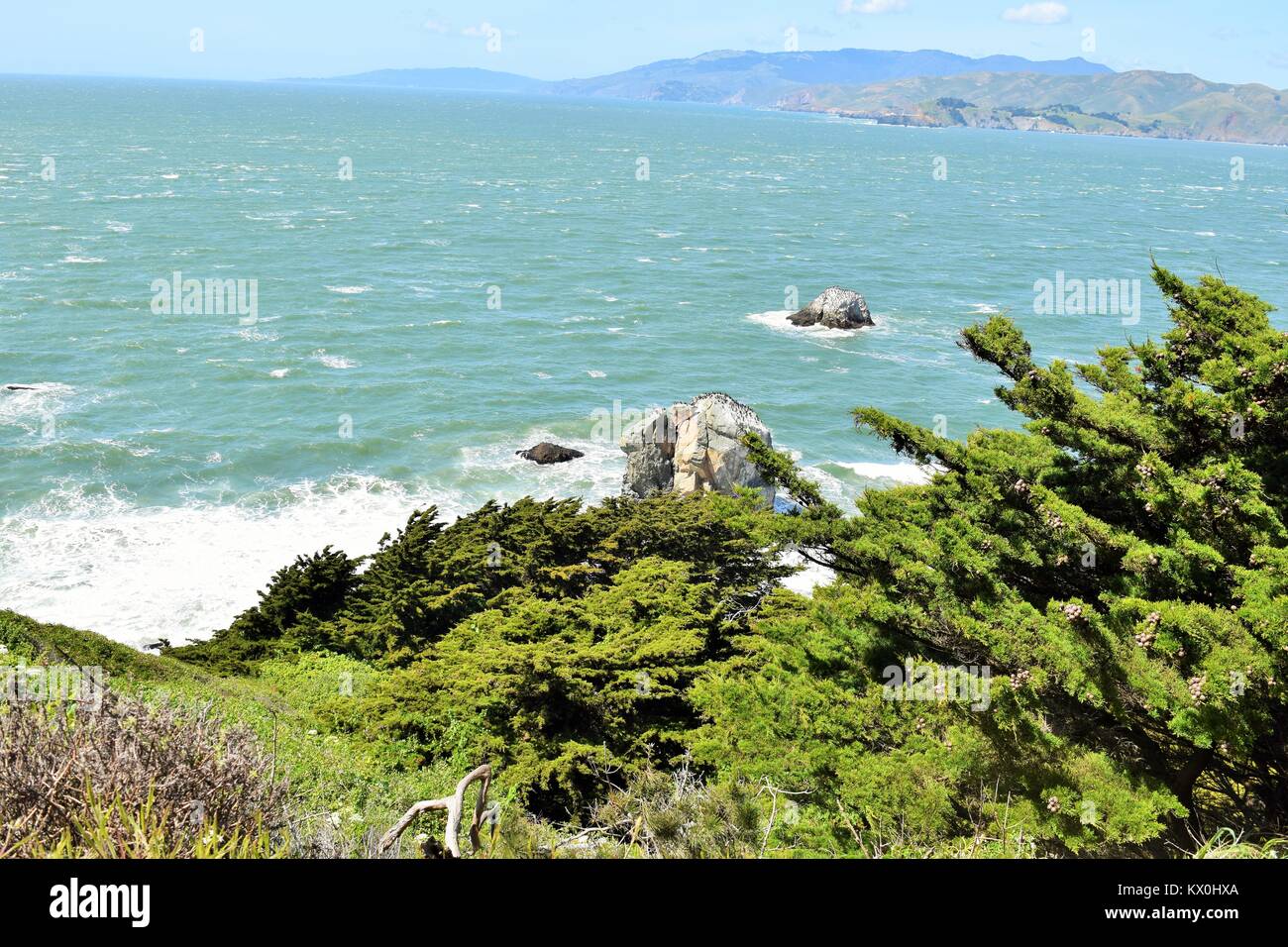 Paesaggi urbani la San Francisco Monterey e natura Foto Stock