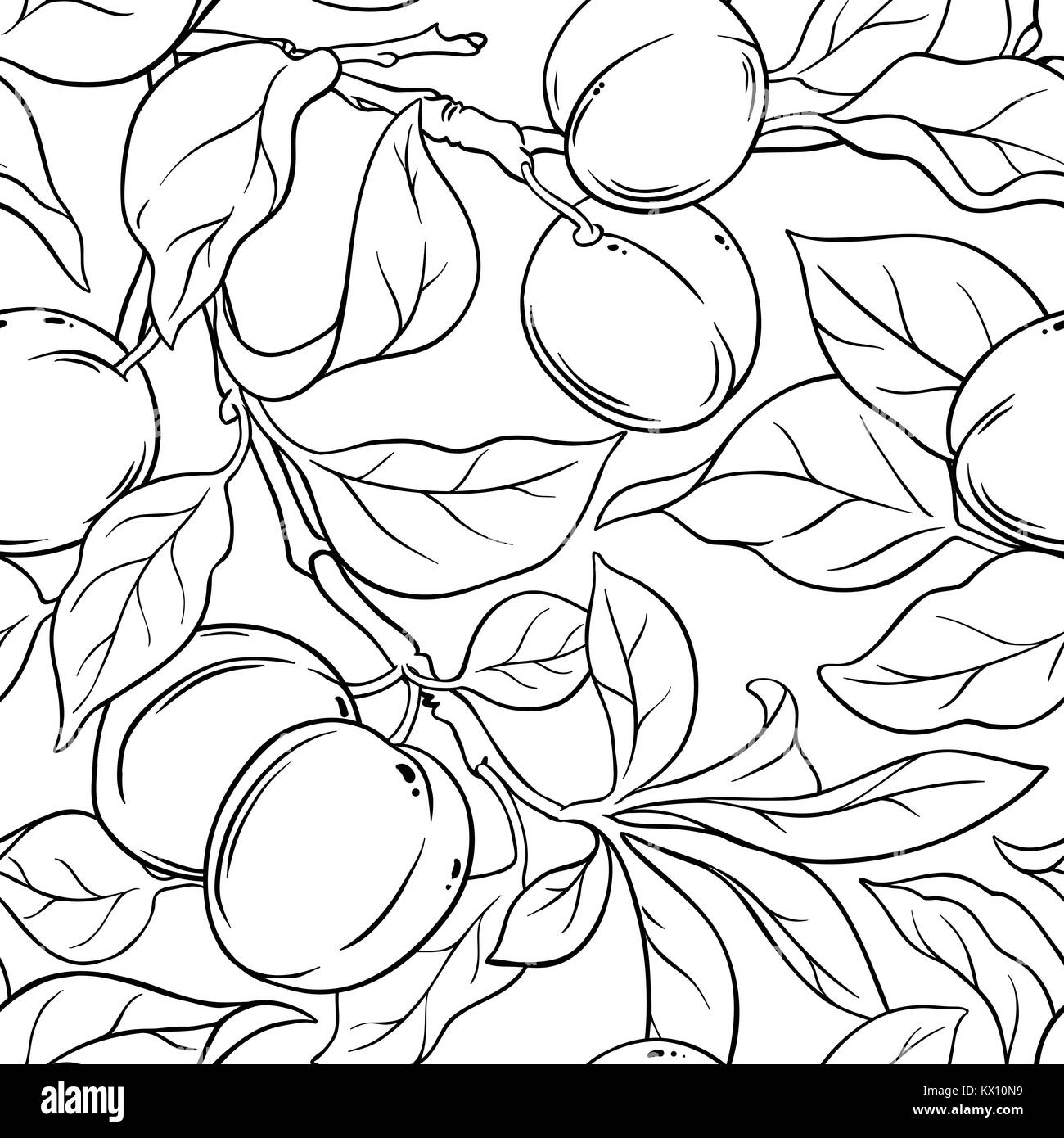 Rami di albicocche seamless pattern su sfondo bianco Illustrazione Vettoriale