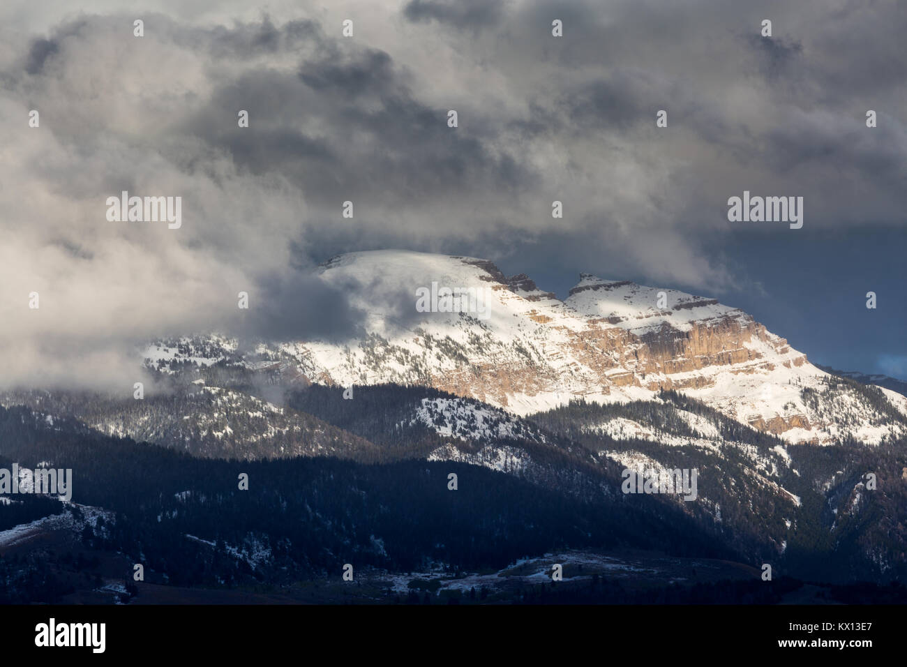 Maltempo la cancellazione dal sonno indiani, aka pecore di montagna, in Gros Ventre montagne. Jackson, Wyoming Foto Stock