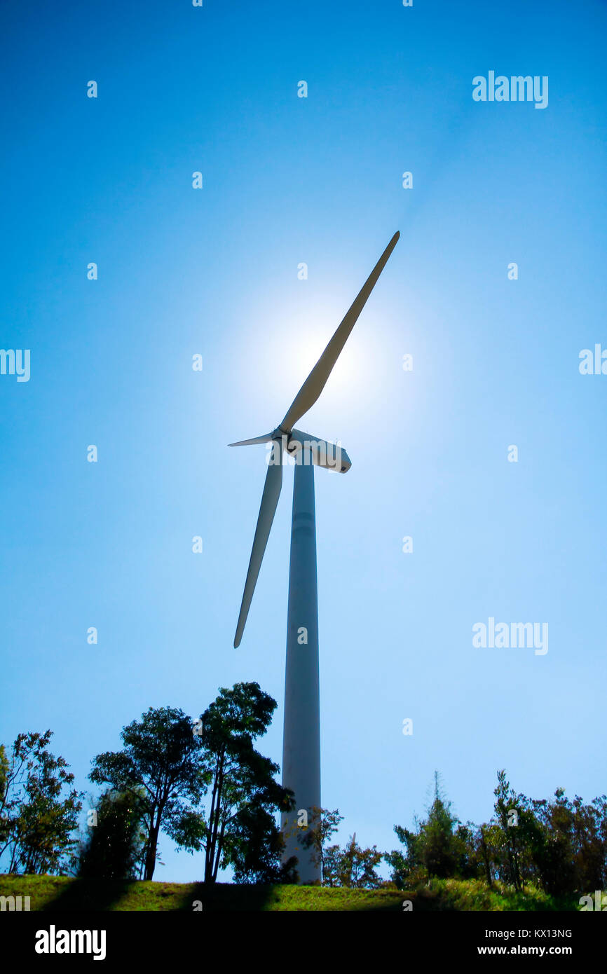 Electric wind turbines farm sagome su sfondo di Sun Foto Stock