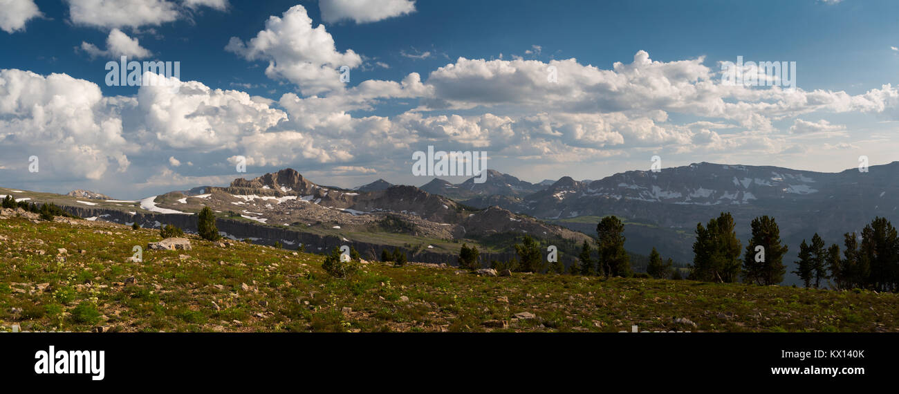 Guardando oltre a Teton Canyon da sotto la cima della montagna della tavola. Jedediah Smith Wilderness, Wyoming Foto Stock