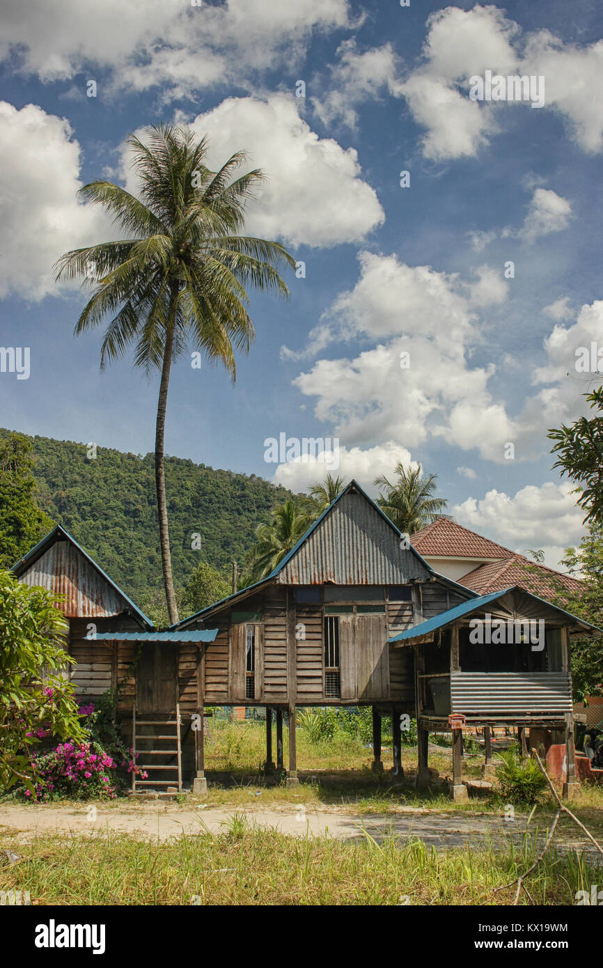 Tradizionale residenza rurale con Palm tree, villaggio sull'isola di Penang, Malaysia Foto Stock