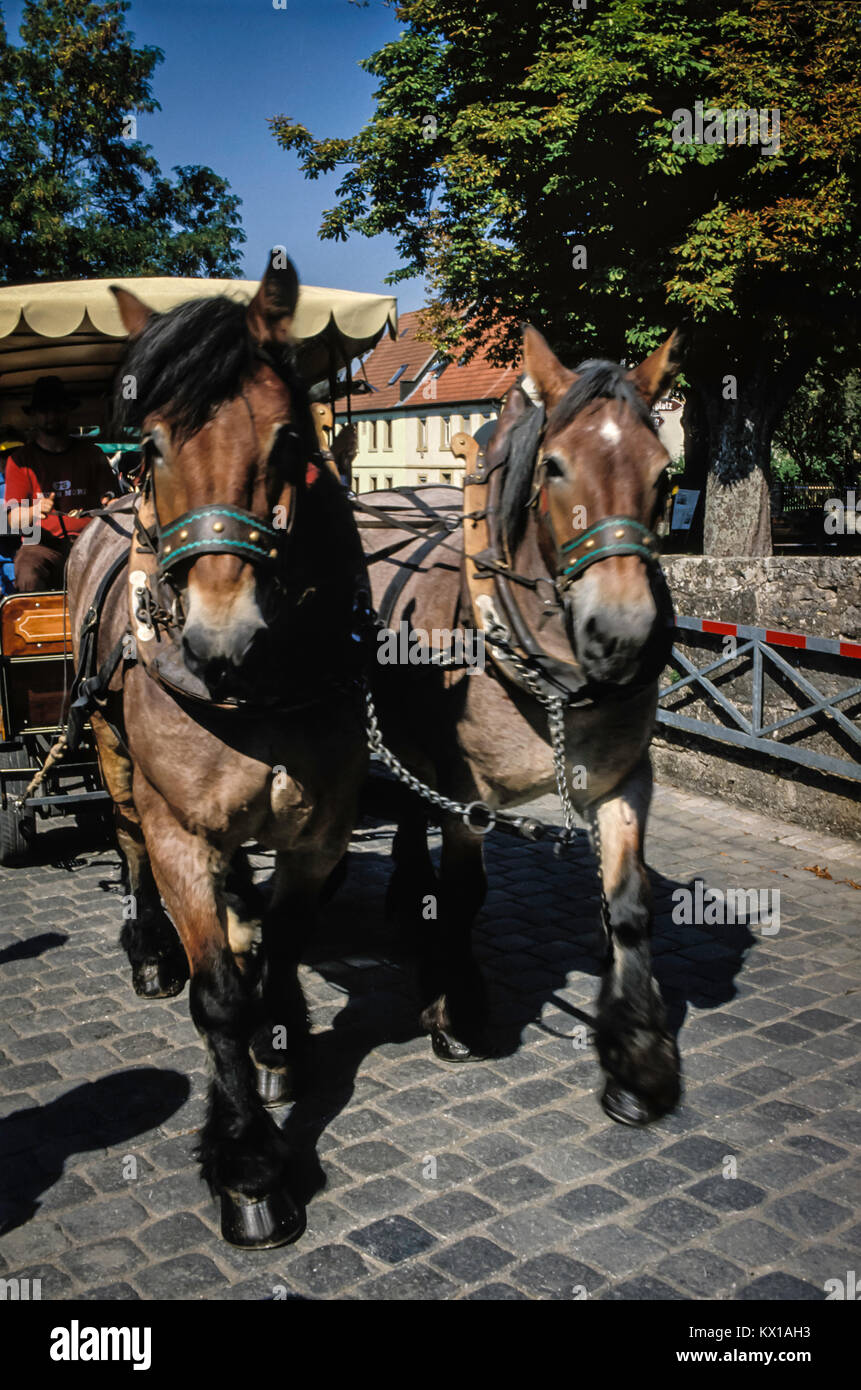 Favolosa carrozza trainata da cavalli immagini e fotografie stock ad alta  risoluzione - Alamy