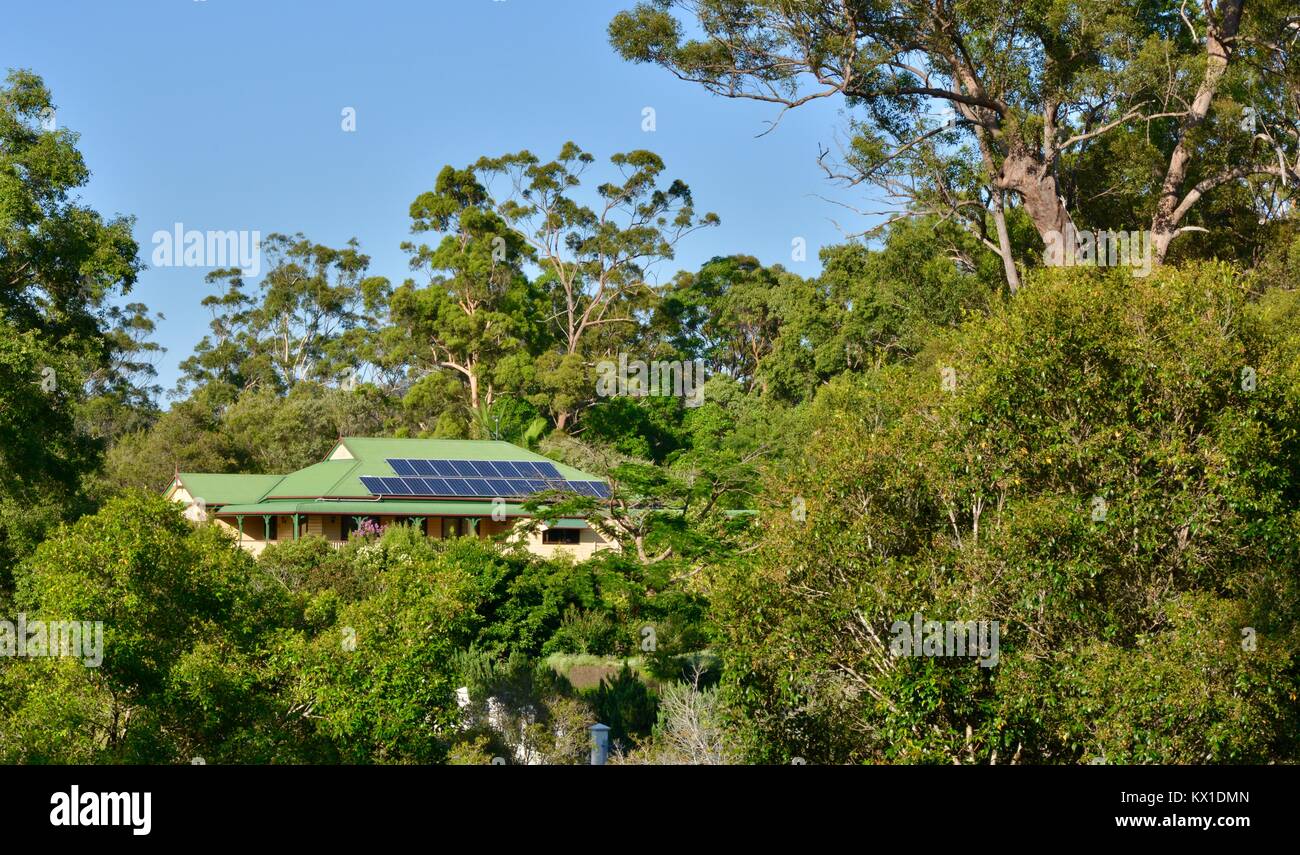 Australian giardini residenziali, Sunshine Coast, Queensland, Australia Foto Stock