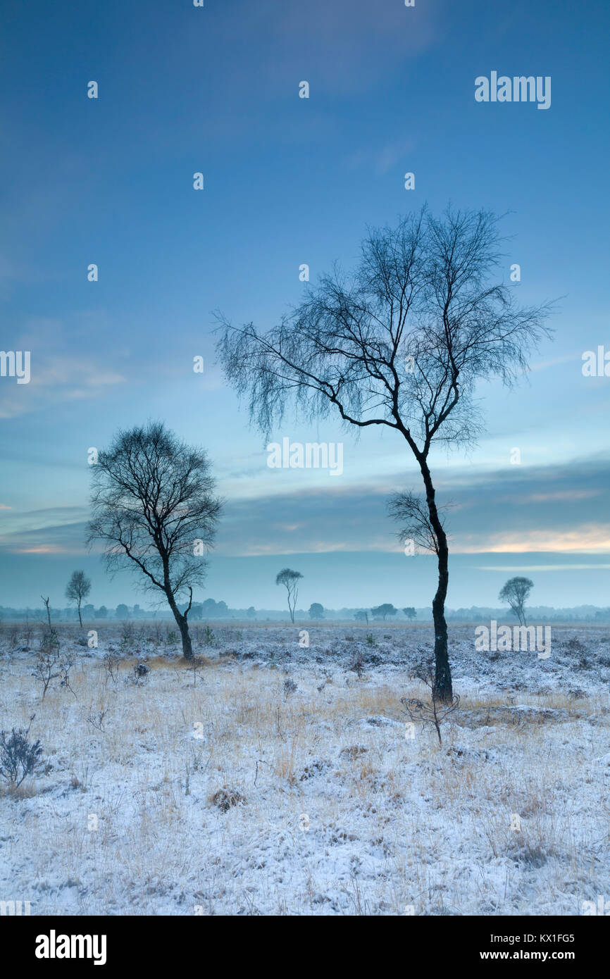 Twilight su Strensall comuni sulla periferia di York, North Yorkshire Regno Unito Foto Stock