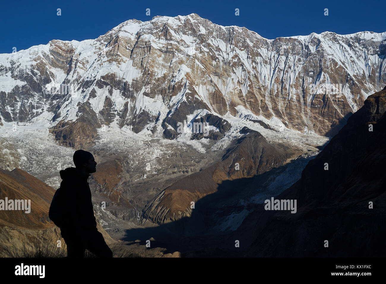 Turista francese guardando Annapurna i summit dal campo base, Annapurna massif, Nepal Foto Stock