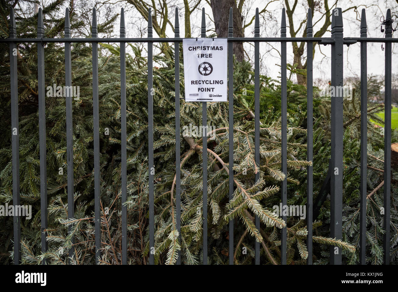 Londra, Regno Unito. Il 6 gennaio, 2018. Alberi di Natale sono oggetto di pratiche di dumping con un consiglio punto di riciclaggio nel Parco Deptford Credito: Guy Corbishley/Alamy Live News Foto Stock