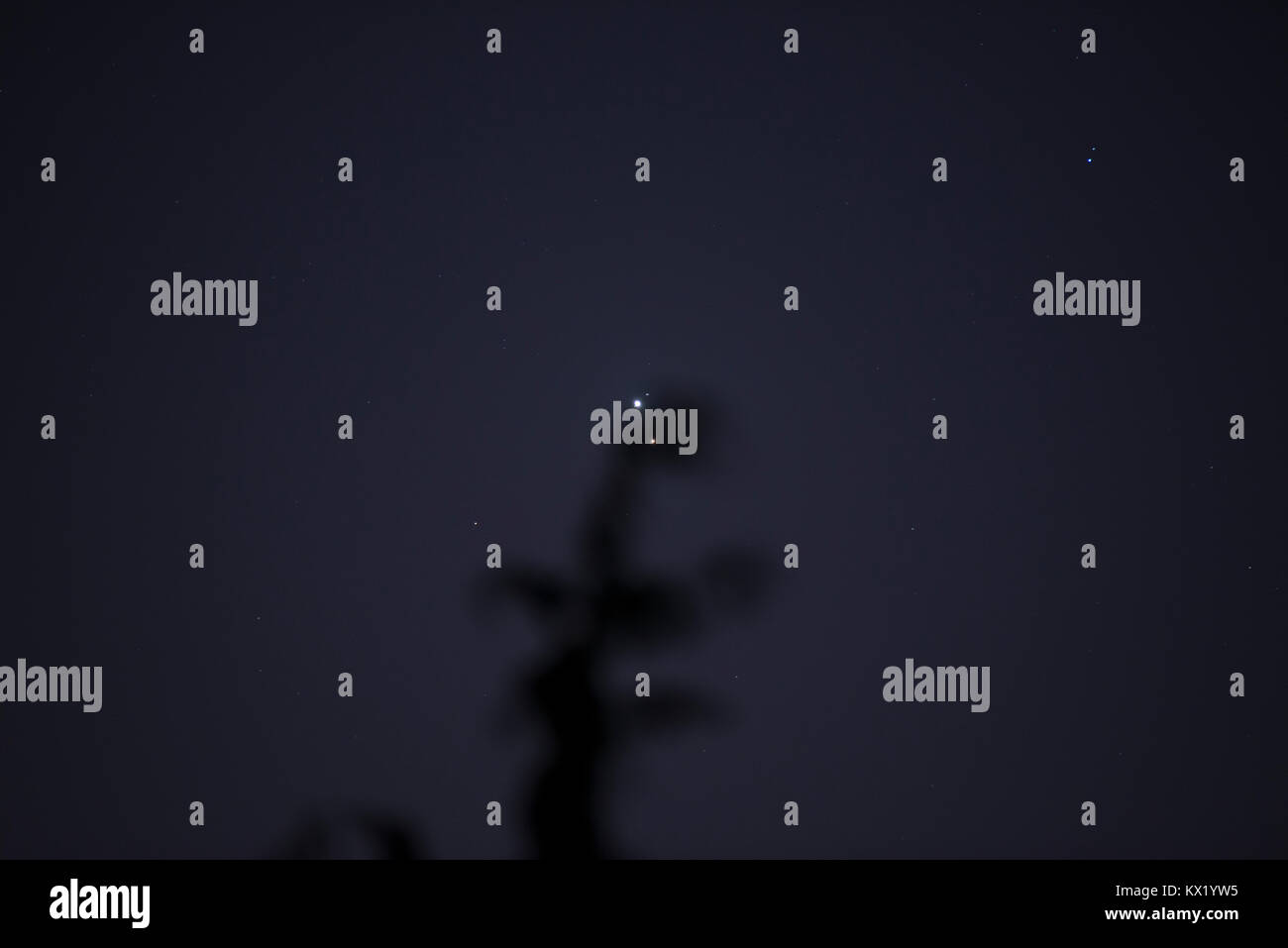 Londra, Regno Unito. Il 7 gennaio 2018. I Pianeti Marte e Giove in congiunzione, circa un quarto di un grado di distanza (metà della larghezza di una luna piena). Giove - con due delle sue lune - si è visto all'apice di un abete in questa immagine con Marte Il pianeta rosso, incandescente attraverso la struttura ad albero vicino e leggermente al di sotto. I due pianeti non apparirà questa stretta ancora fino a 2020. La doppia stella Zubenelgenubi è anche visibile in questa immagine in alto a destra. Credito: Malcolm Park/Alamy Live News Foto Stock