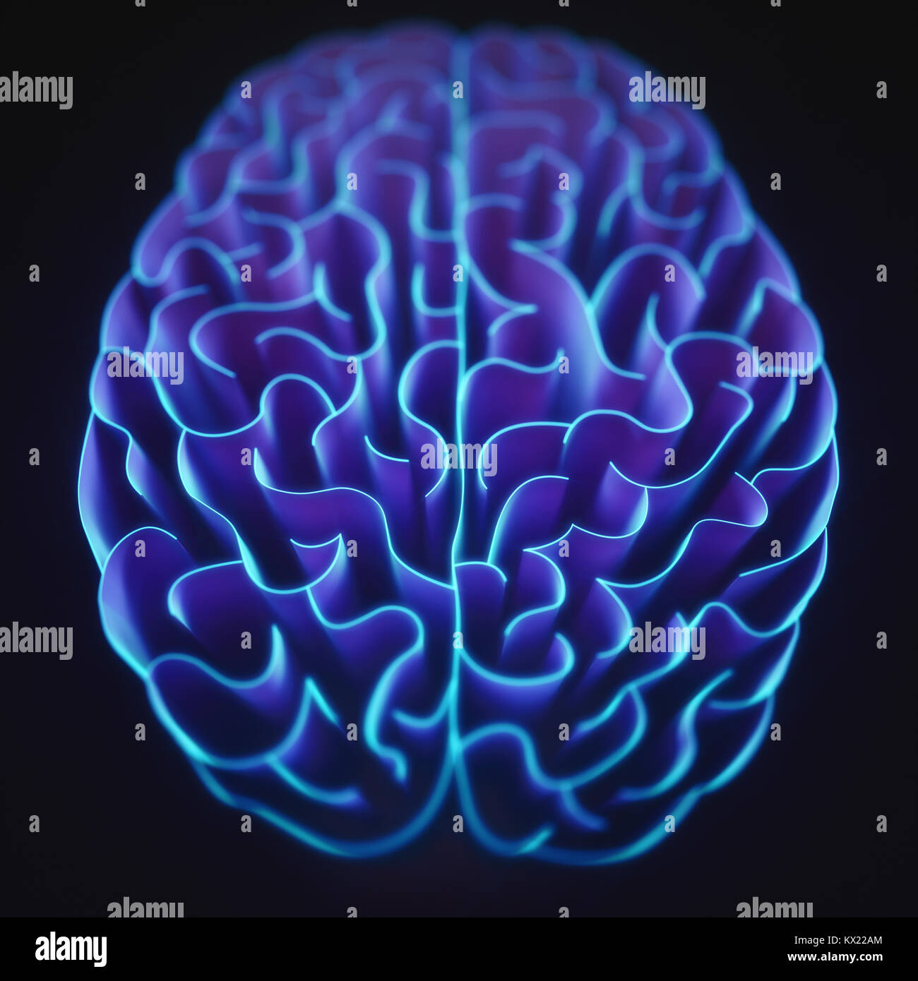 Le linee ondulate nella forma del cervello umano, illustrazione. Foto Stock