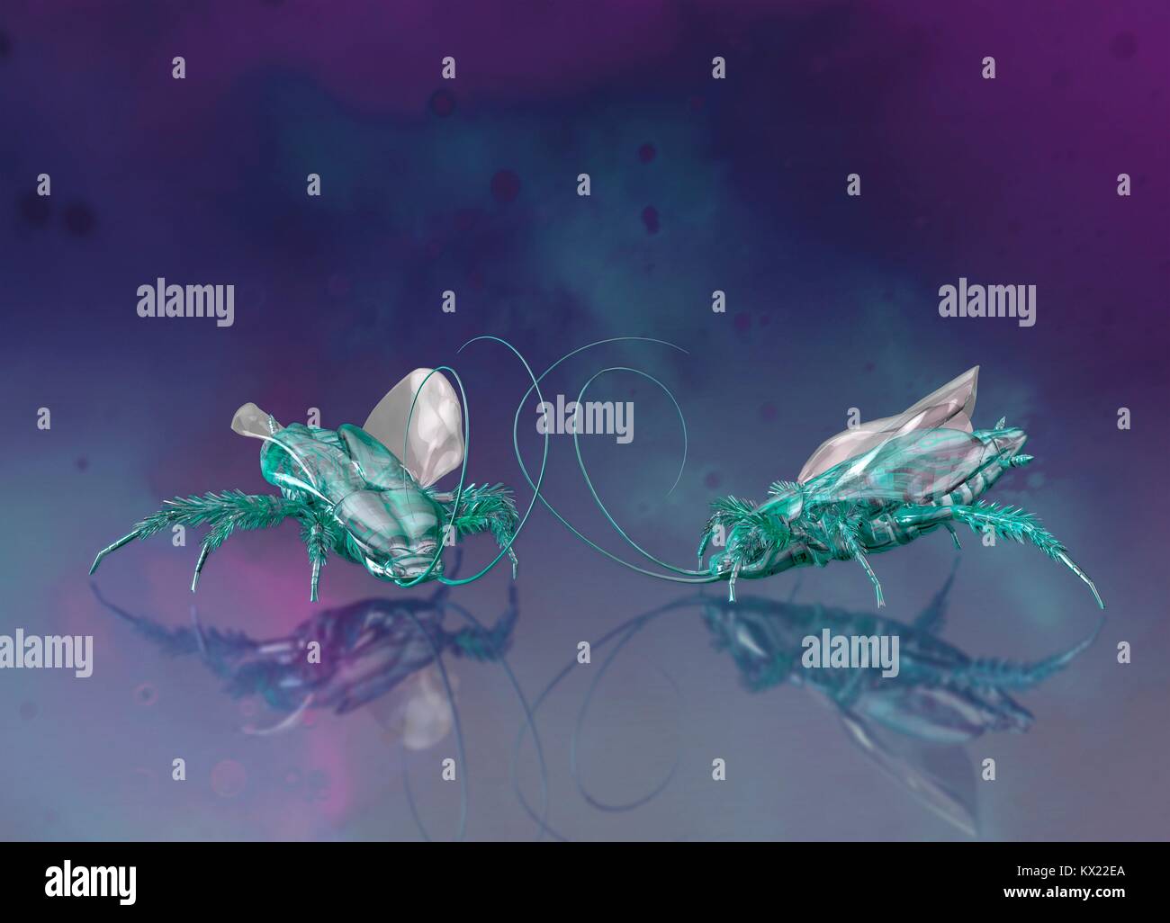 Gli insetti robotici, illustrazione. Foto Stock