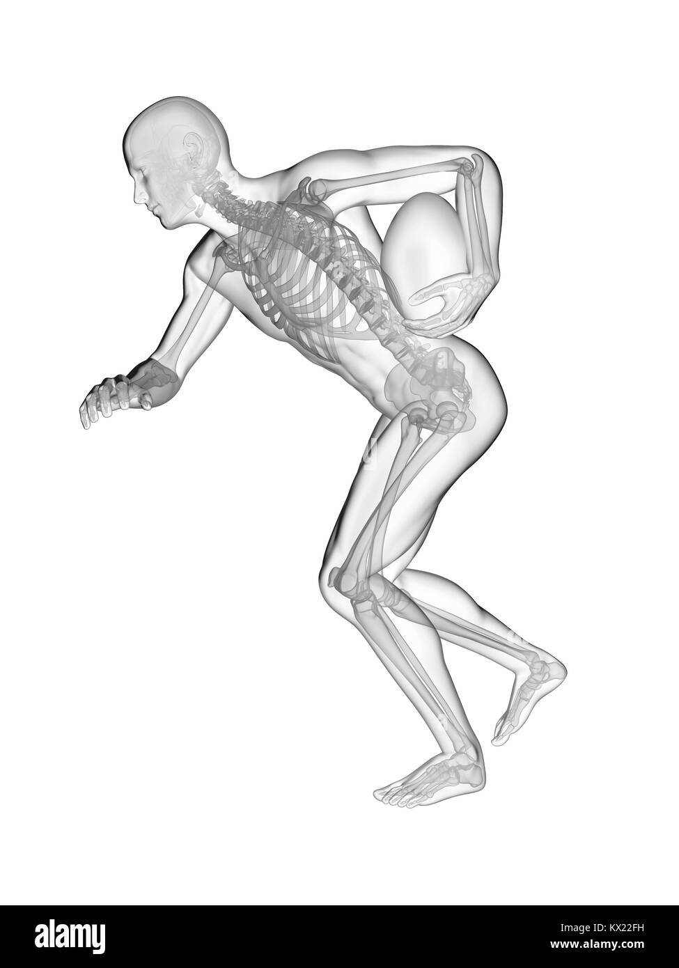 Giocatore di rugby del sistema scheletrico, illustrazione. Foto Stock