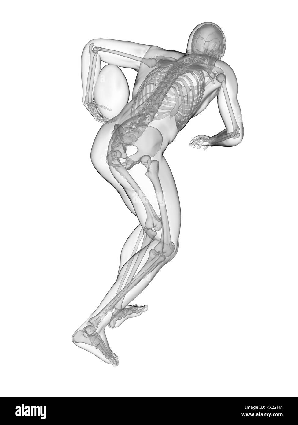 Giocatore di rugby del sistema scheletrico, illustrazione. Foto Stock