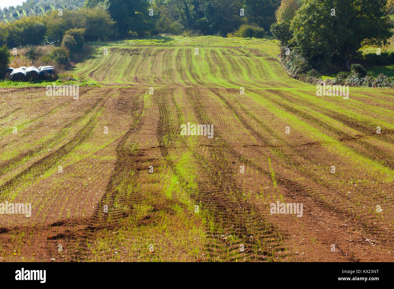 Terreni agricoli con un terreno fertile in Asturias, Spagna Foto Stock