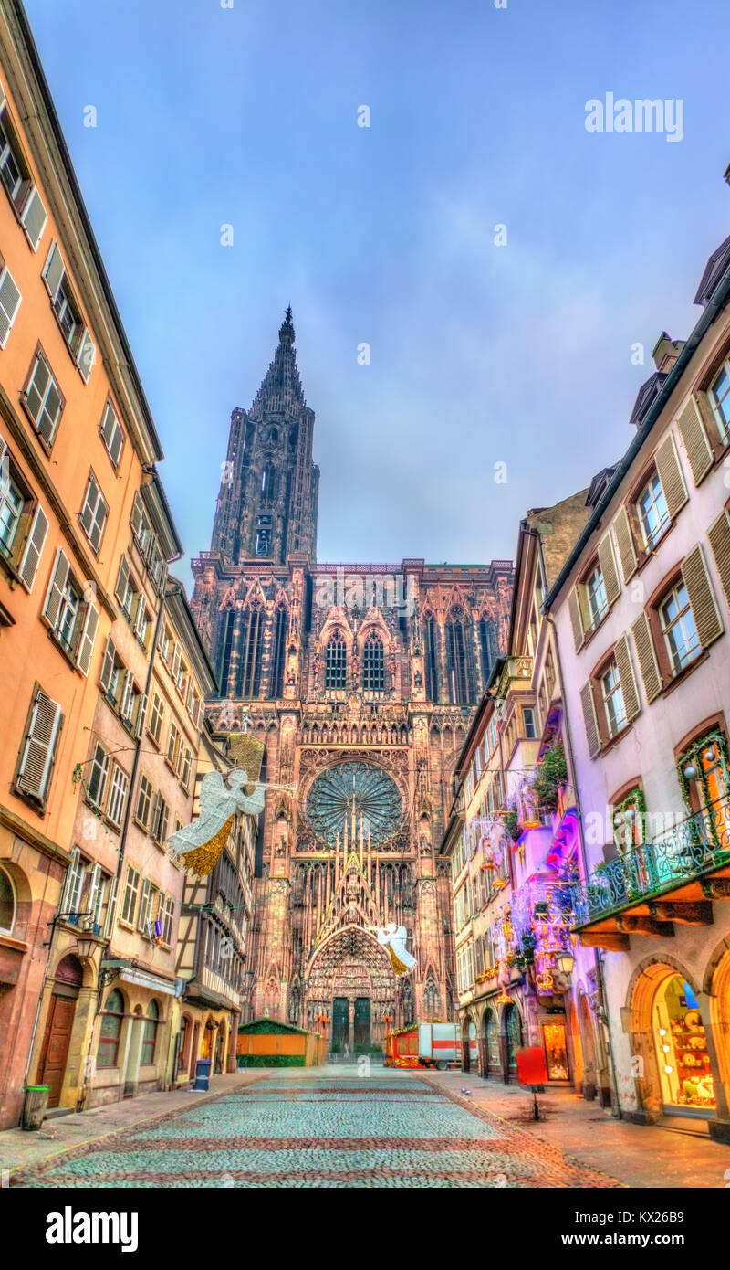 Le decorazioni di Natale vicino alla cattedrale di Strasburgo, Francia Foto Stock