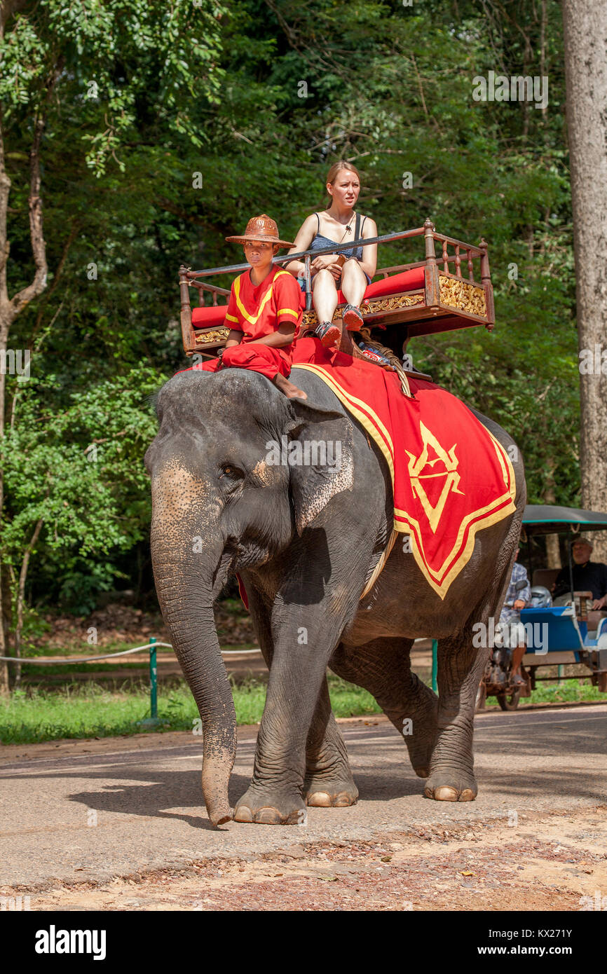 Un turista a Angkor Thom tempio complesso scorre il retro di un indiano o di elefante asiatico in Siem Reap, Cambogia. Foto Stock