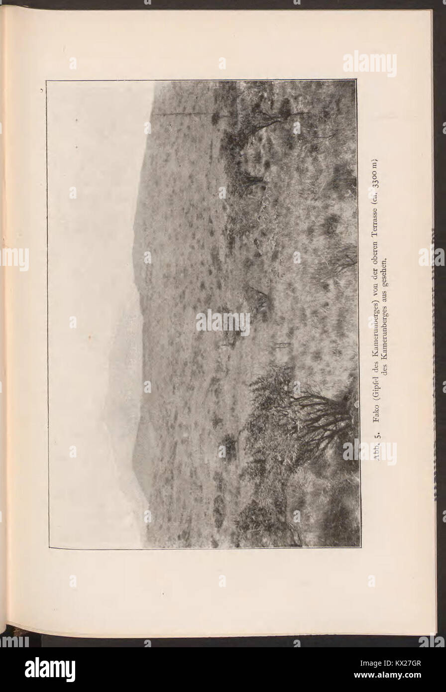 Illustrazione scientifica tratta dallo studio "contributi alla geologia del Camerun" che mostra formazioni geologiche e strutture rocciose del Camerun. Foto Stock