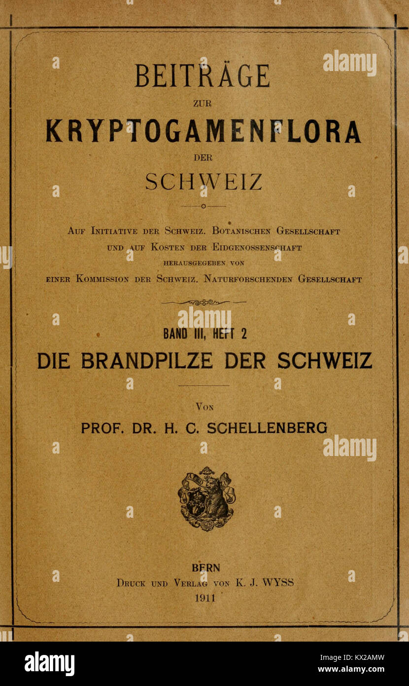 "Studio sulle criptogami in Svizzera, che descrive specie di piante non fiorite, morfologia, tassonomia, habitat e ruolo ecologico nella flora regionale". Foto Stock