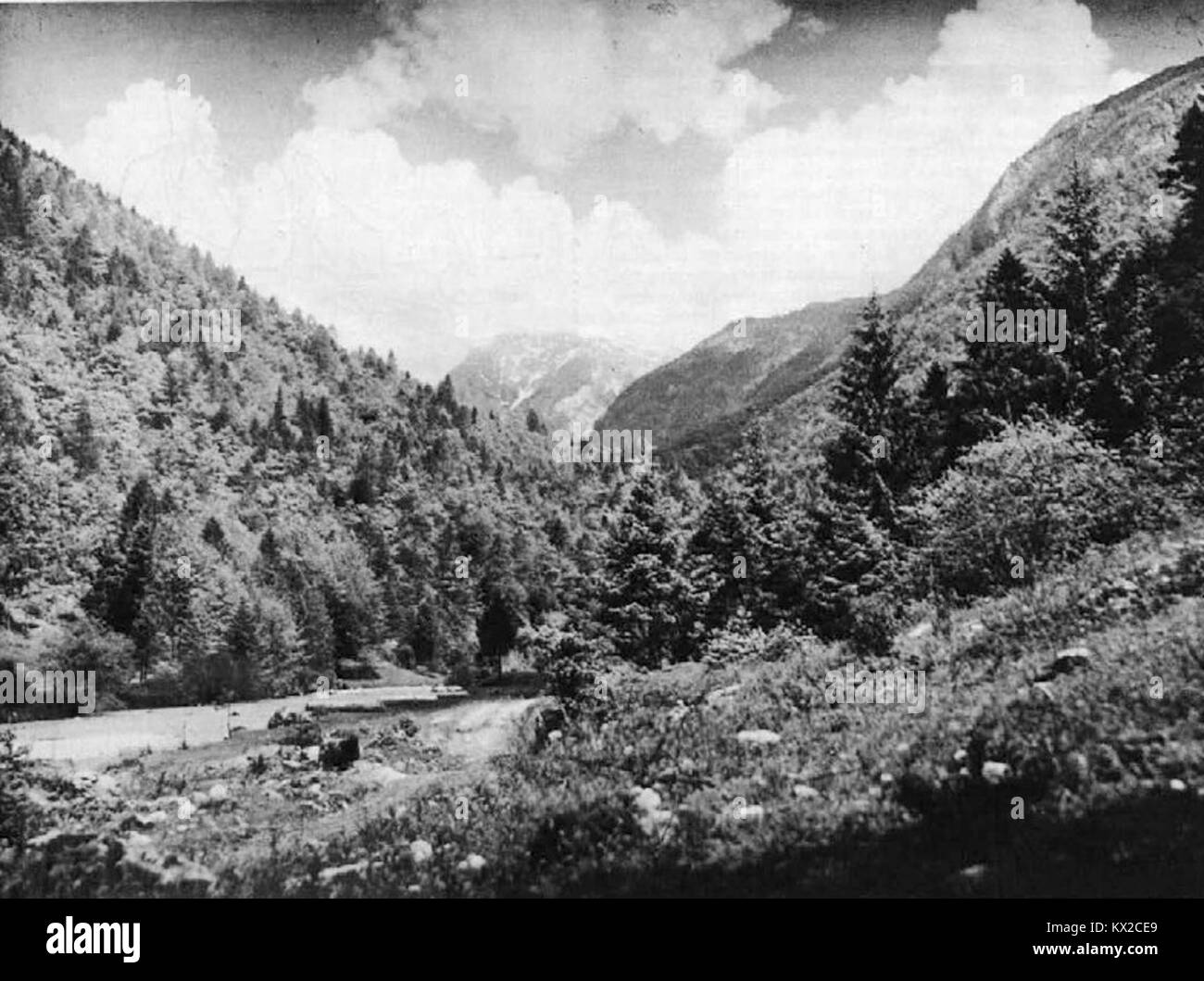 Dolina Kamniške Bistrice è una pittoresca valle delle Alpi slovene Kamnik-Savinja, conosciuta per il suo fiume pulito, i diversi sentieri escursionistici e le attrazioni naturali come la gola di Predaselj. La valle offre varie attività all'aperto, tra cui escursioni a piedi e in bicicletta e visite alle vicine attrazioni come Velika Planina. Foto Stock