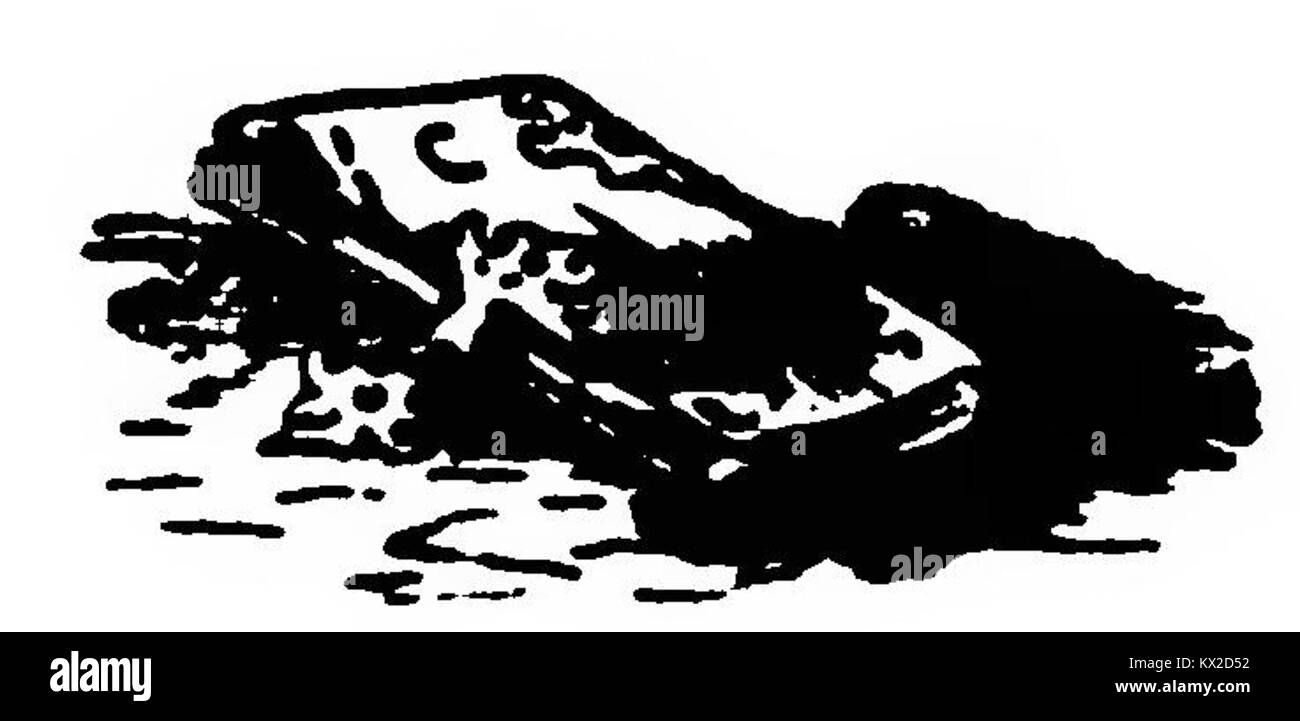 Edizione illustrata di "Don Chisciotte" di gamba-Ambrosoli, con Don Chisciotte e Sancho Panza, enfatizzando la narrazione, il carattere e l'interpretazione artistica del romanzo classico. Foto Stock