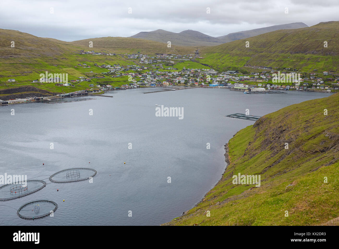 Allevamento di salmoni, Vestmanna town, Streymoy isola, isole Faerøer Foto Stock