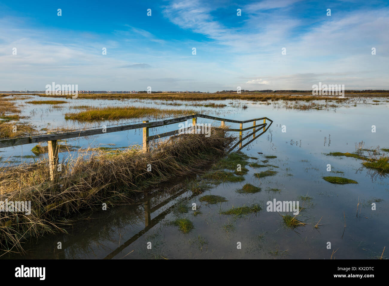 Alta Marea a Burrows Marsh Foto Stock