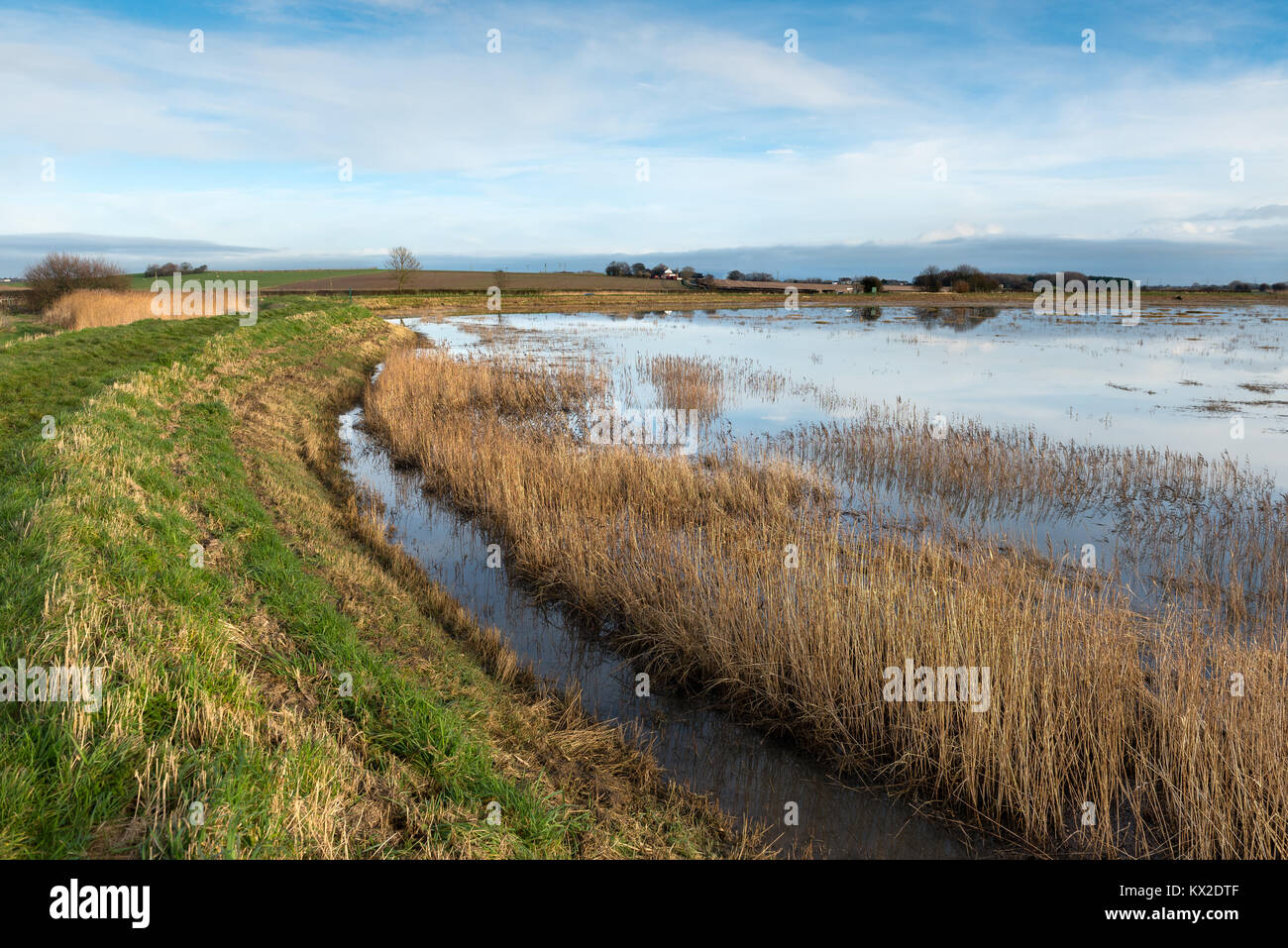 Alta Marea a Burrows Marsh Foto Stock